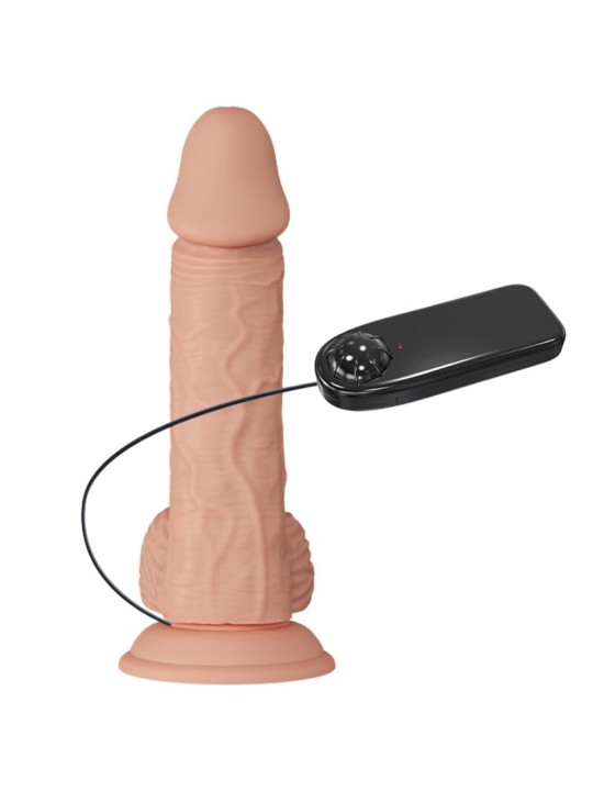 BAILE - BEAUTIFUL ENCOUNTER VIBRATION CATOBLEPAS 20.6 CM NATURAL