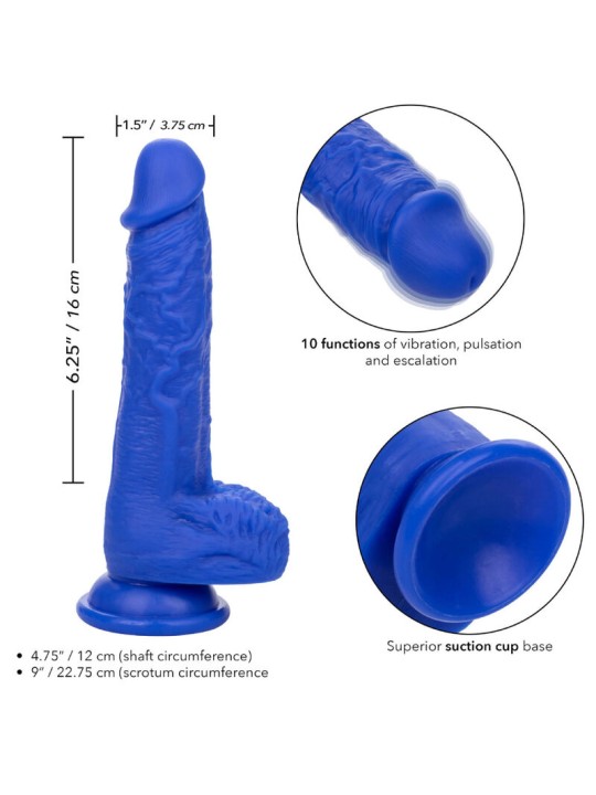 CALEXOTICS - ADMIRAL SAILOR REALISTIC DILDO VIBRADOR AZUL