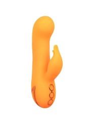 CALEXOTICS - MONTECITO MUSE VIBRADOR COELHO LARANJA POR CALIFORNIA DRE