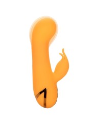 CALEXOTICS - MONTECITO MUSE VIBRATOR RABBIT ORANGE VON CALIFORNIA DREA