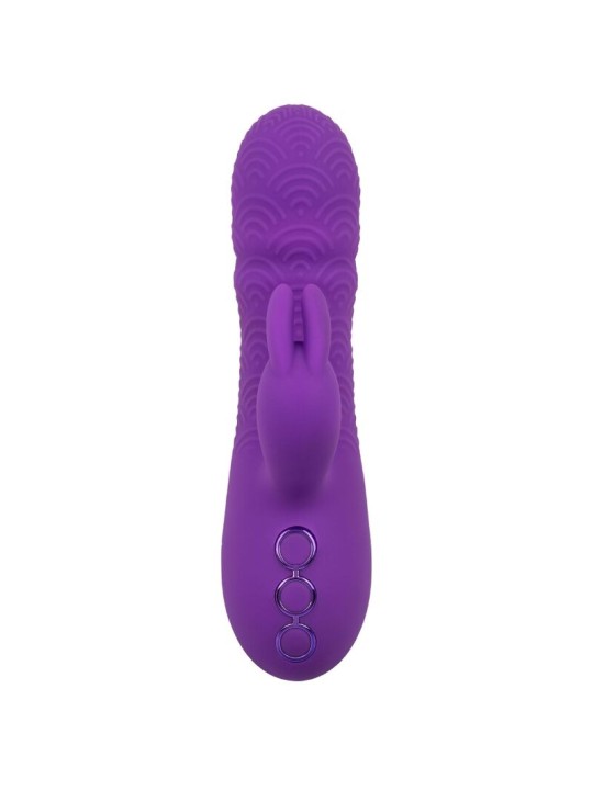 CALEXOTICS - MANHATTAN BEACH MARVEL VIBRATEUR RABBIT VIOLET PAR CALIFO