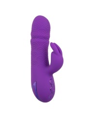CALEXOTICS - MANHATTAN BEACH MARVEL VIBRATOR PAARSE KONIJN VAN CALIFOR