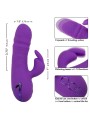 CALEXOTICS - MANHATTAN BEACH MARVEL VIBRATEUR RABBIT VIOLET PAR CALIFO