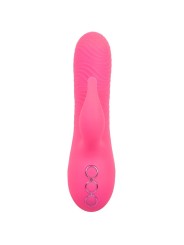 CALEXOTICS - SACRAMENTO SWEETIE VIBRATEUR LAPIN ROSE PAR CALIFORNIA DR