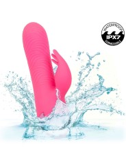 CALEXOTICS - SACRAMENTO SWEETIE VIBRADOR RABBIT ROSA BY CALIFORNIA DRE