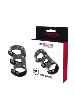 DARKNESS - ADJUSTABLE LEATHER DOUBLE PENIS AND TESTICLE RING