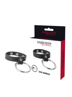 DARKNESS - ANNEAU MÉTALLIQUE POUR LE PÉNIS ET LES TESTICULES