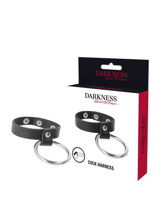 DARKNESS - METALLRING FÜR PENIS UND HODEN
