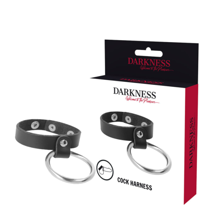 DARKNESS - METALEN RING VOOR PENIS EN TESTIKELEN