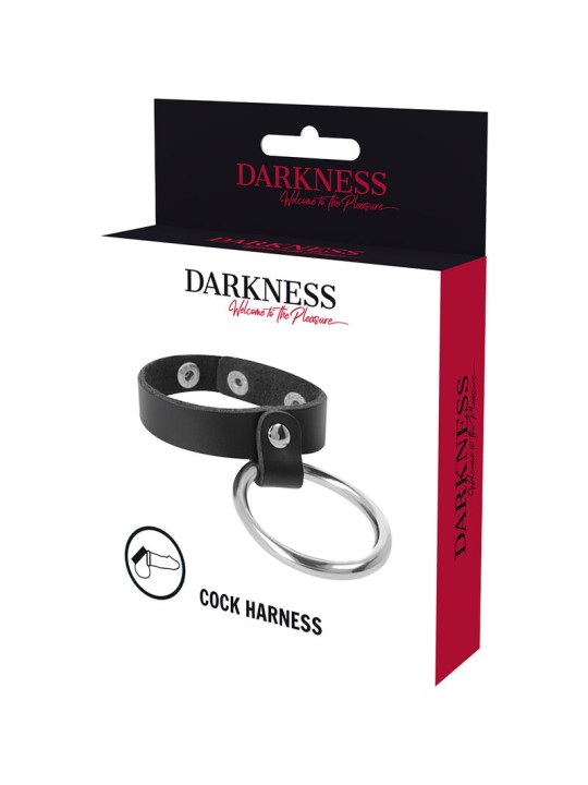 DARKNESS - METALLRING FÜR PENIS UND HODEN