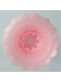 PRETTY LOVE - MASTURBATEUR POUR HOMME ATHENA ALICE ROSE