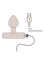 ROCKS-OFF - NOVA ASTRYX RECHARGEABLE PREMIUM & POWERFUL ANAL PLUG 16 F