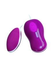 PRETTY LOVE - FLIRTATION VIBRATING EGG WITH REMOTE CONTROL AVERY