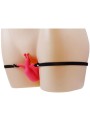 BAILE - HARNAIS PAPILLON TÉLÉCOMMANDE ULTRA PASSIONNÉ