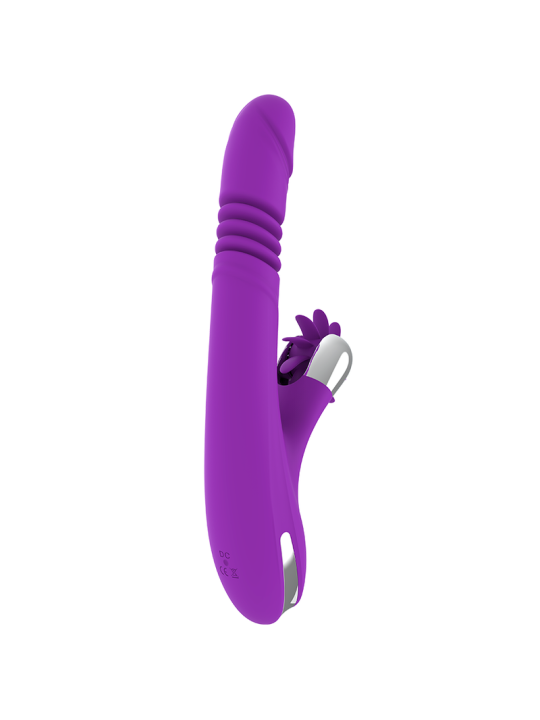 FUN FUNCTION - COELHO ENGRAÇADO PARA CIMA E PARA BAIXO 2.0