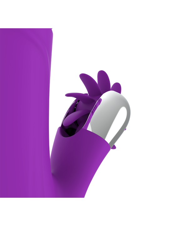 FUN FUNCTION - COELHO ENGRAÇADO PARA CIMA E PARA BAIXO 2.0