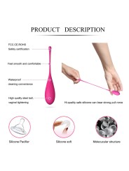 LESLIE - KEGEL FIT PELVIC MUSCLE TRAINING CONJUNTO 6 PCS