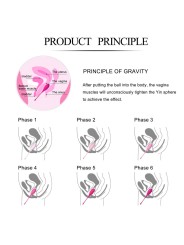 LESLIE - KEGEL FIT PELVIC MUSCLE TRAINING CONJUNTO 6 PCS