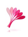 LESLIE - KEGEL FIT PELVIC MUSCLE TRAINING CONJUNTO 6 PCS