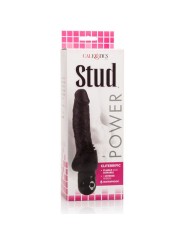 CALEXOTICS - POWER STUD CLITERRIFIC VIBRATOR ZWART