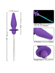 CALEXOTICS - SOUTHERN LIGHTS LIGHT UP ANAL PLUG 10 VIBRATIONS SILICONE