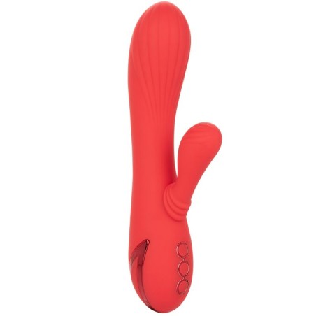CALEXOTICS - PALISADES PASSIE ROOD