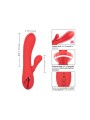 CALEXOTICS - PALISADES PASSION ROT