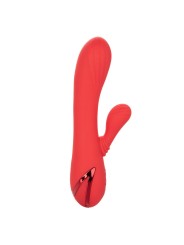 CALEXOTICS - PALISADES PASSION ROT