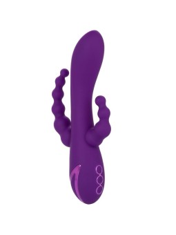 CALEXOTICS - LONG BEACH BOOTYLICIOUS LILA