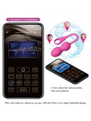 PRETTY LOVE - ELVIRA VIBRATIEBALLEN OPLAADBAAR ROZE