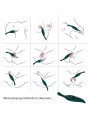 ARMONY - STIMULATEUR & VIBRATEUR VERT FEUILLE