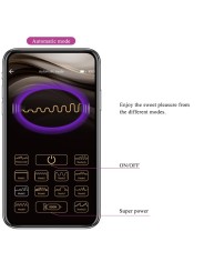 PRETTY LOVE - ELVIRA KEGEL BALLS APP REMOTE CONTROL PURPLE