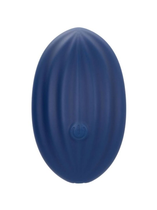 CALEXOTICS - CASHMERE-SAMT-CURVE-BLAU