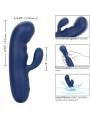 CALEXOTICS - KASJMIERZIJDE DUO BLAUW