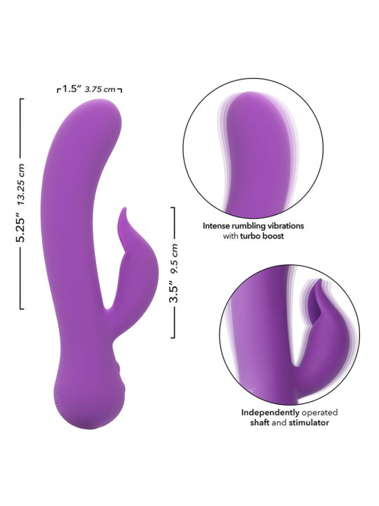 CALEXOTICS - FIRST TIME VIBRATEUR PLEASER RECHARGEABLE VIOLET