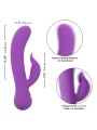 CALEXOTICS - FIRST TIME VIBRATEUR PLEASER RECHARGEABLE VIOLET