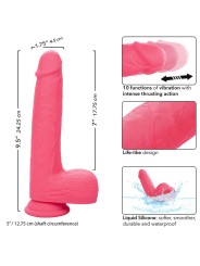 CALEXOTICS - STUDS VIBRATORE REALISTICO 10 VIBRAZIONI ROSA