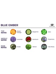 EYE OF LOVE - BLOOM PRINTEMPS DAMBIANCE INDICA BLEU BRISE 150 ML