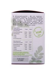 HOT - MORINGA BONÉS DE FEMININOS 60 UNIDADES