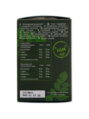 HOT - MORINGA HEREN CAPS MAN 60 STUKS