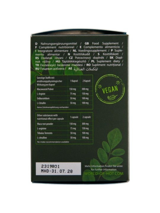 HOT - MORINGA MEN CAPS UOMO 60 UNITÀ