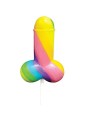 PRIDE - SPENCER & FLEETWOOD RAINBOW COCK LGBT LOLLIPOP