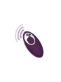 TOYJOY - HAPPINESS KNOCK KNOCK EGGSTAVAGANT VIBRATOR WITH REMOTE CONTR