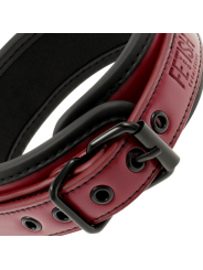 FETISH SUBMISSIVE DARK ROOM - COLLAR CON CADENA CON FORRO DE NEOPRENO