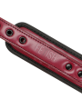 FETISH SUBMISSIVE DARK ROOM - COLLAR CON CADENA CON FORRO DE NEOPRENO