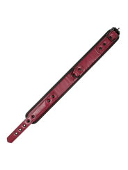 FETISH SUBMISSIVE DARK ROOM - COLLAR CON CADENA CON FORRO DE NEOPRENO