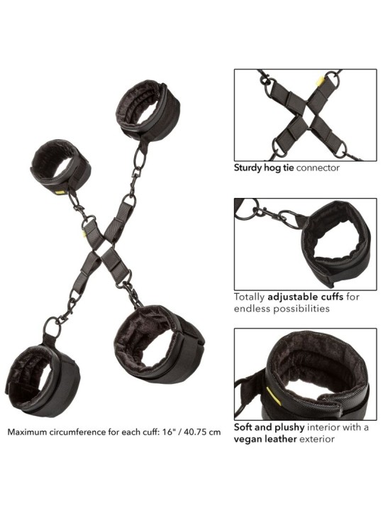 CALEXOTICS - BOUNDLESS HOG TIE