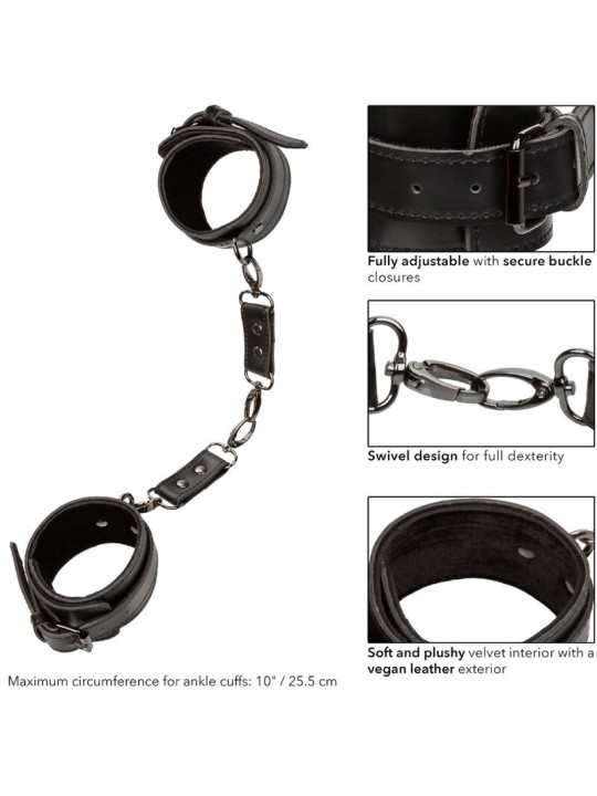 CALEXOTICS - EUPHORIA MANCHETTES DE CHEVILLE