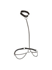 CALEXOTICS - EUPHORIA COLLIER LICOL ET LAISSE GRANDE TAILLE