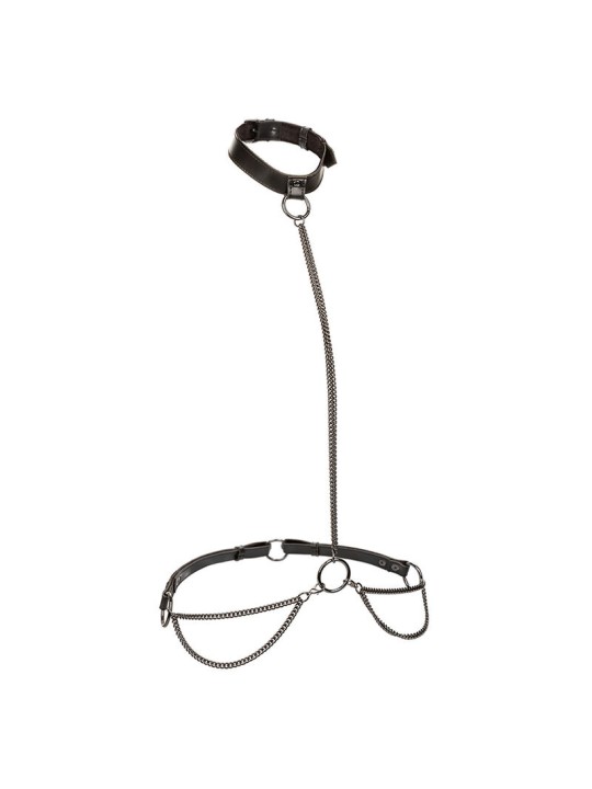 CALEXOTICS - EUPHORIA CHAIN HALTER COLLAR & LEASH PLUS SIZE